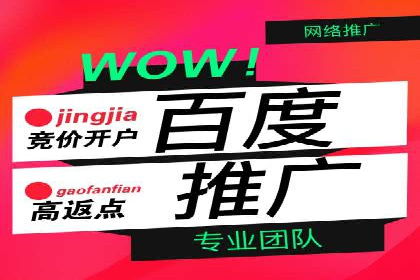 案例解析：竞价代运营如何提高广告投放效果